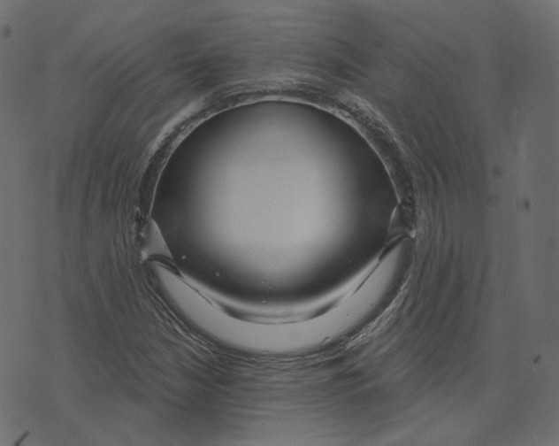 X0000073421210200608251541