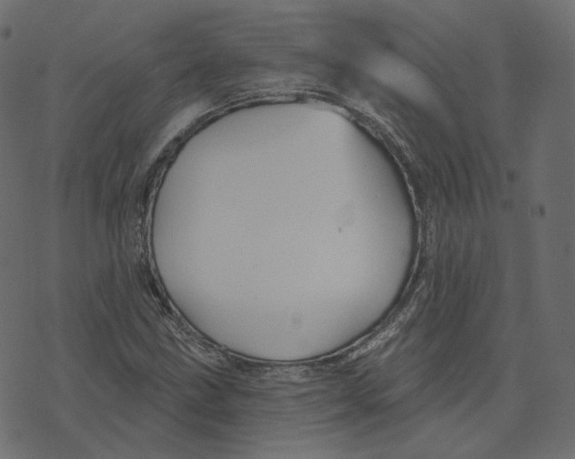 X0000073421211200608251541