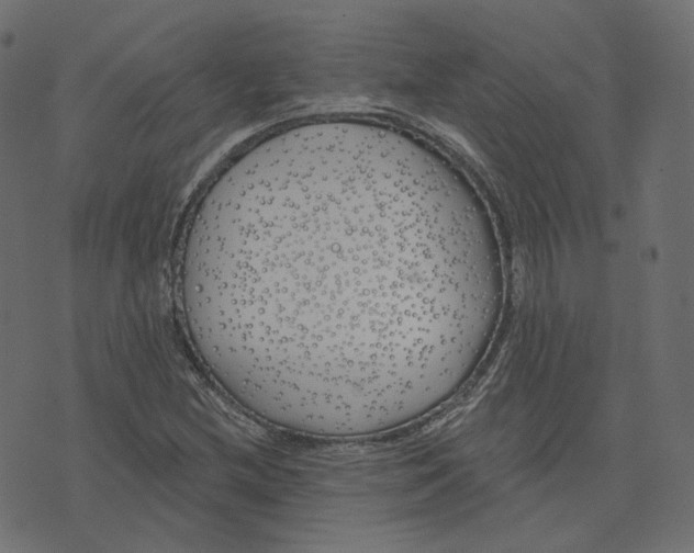 X0000073421212200608251541