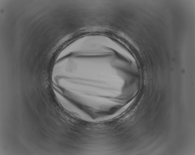 X0000073421213200608251541