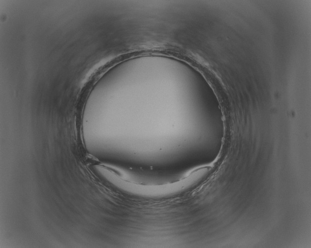 X0000073421214200608251541