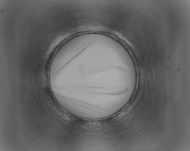 X0000073421215200608251541