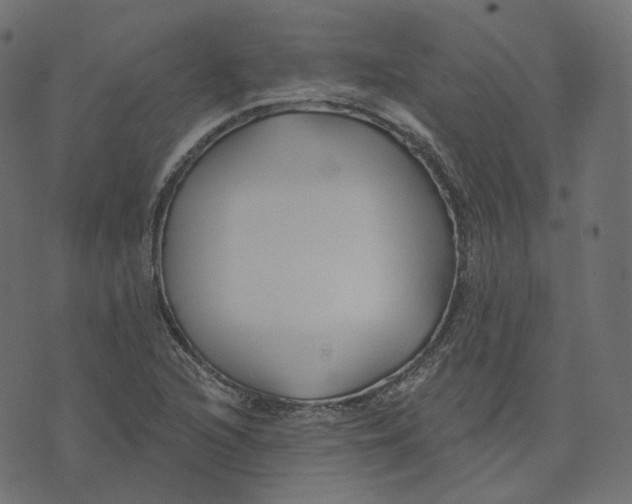 X0000073421216200608251541