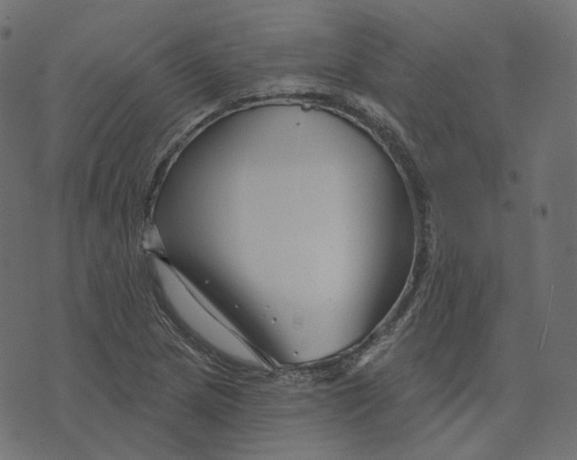 X0000073421217200608251541