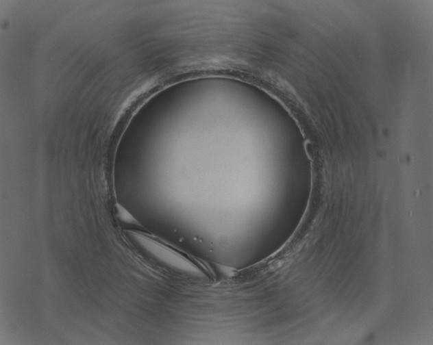 X0000073421218200608251541