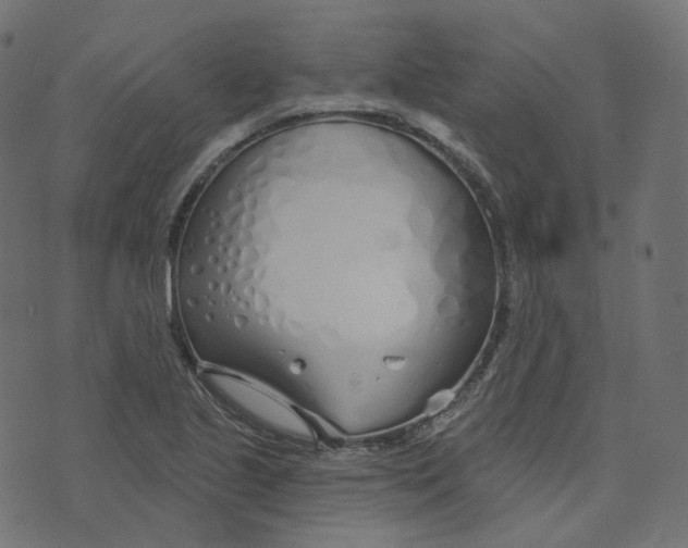 X0000073421221200608251542