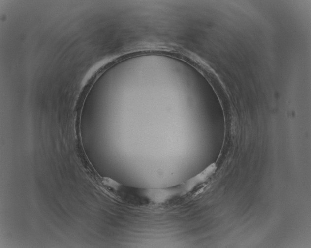 X0000073421222200608251542