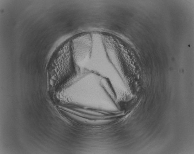 X0000073421223200608251542