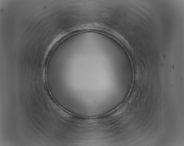 X0000073421224200608251542