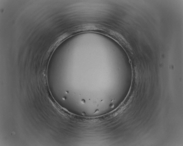 X0000073421225200608251542