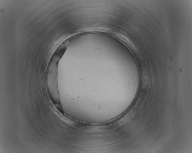 X0000073421228200608251542