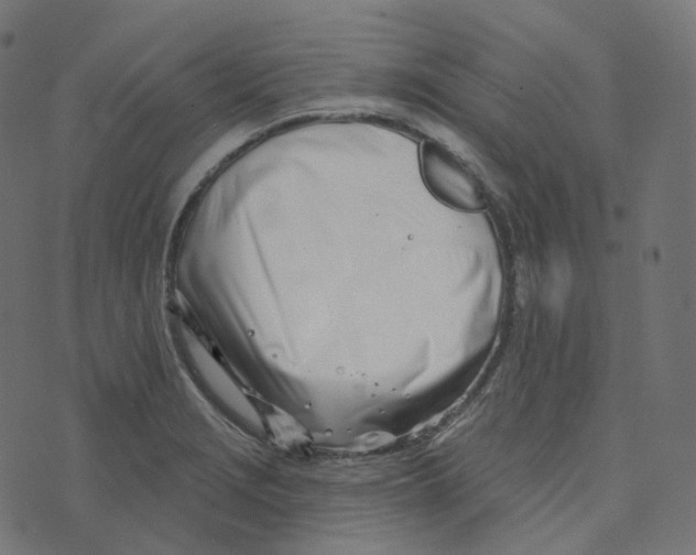 X0000073421229200608251542