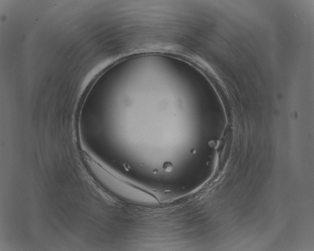 X0000073421230200608251542