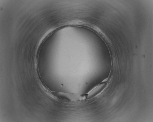 X0000073421232200608251542