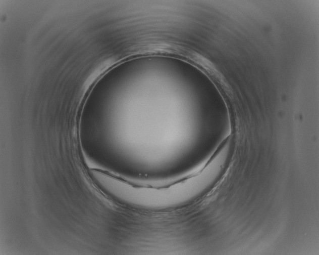 X0000073421234200608251542