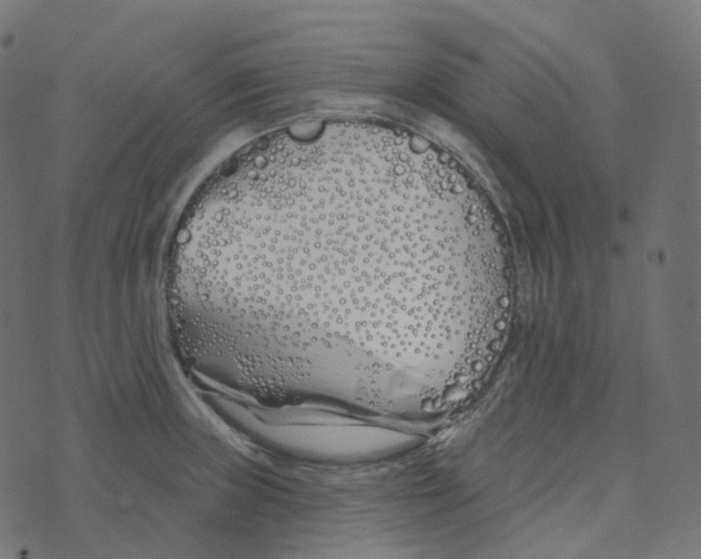 X0000073421235200608251542