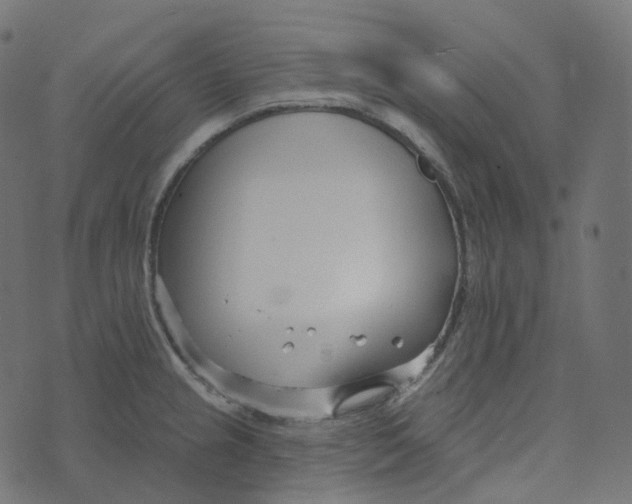 X0000073421237200608251542