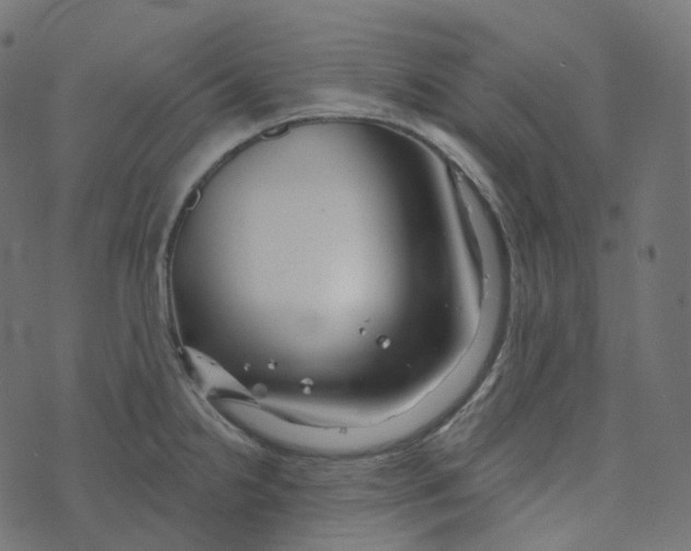 X0000073421238200608251542