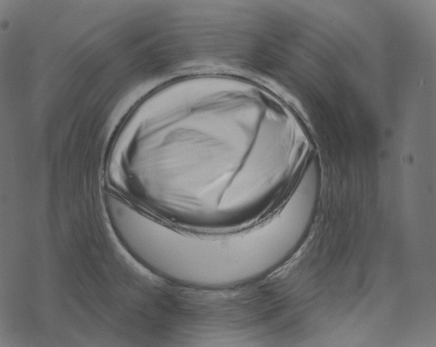 X0000073421239200608251542