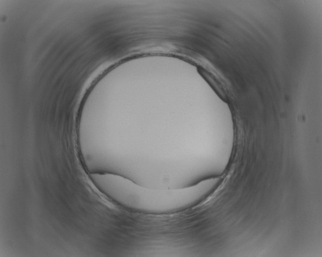 X0000073421240200608251542