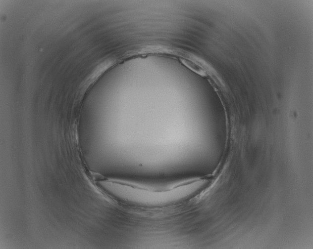 X0000073421241200608251542