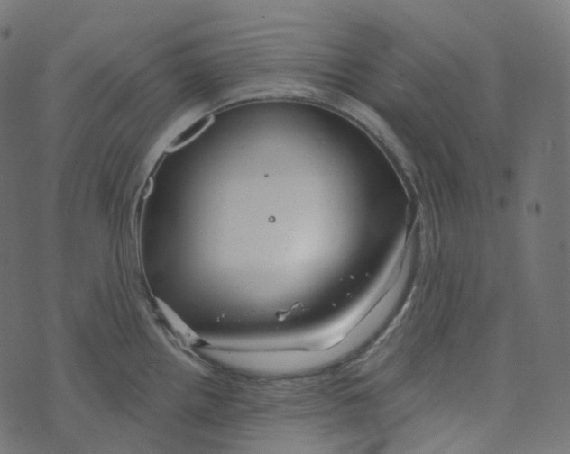 X0000073421242200608251542