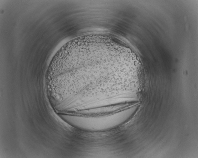 X0000073421243200608251542