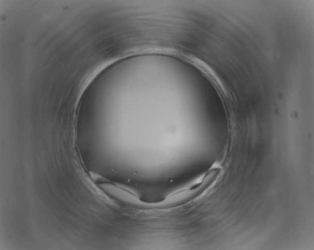 X0000073421244200608251542