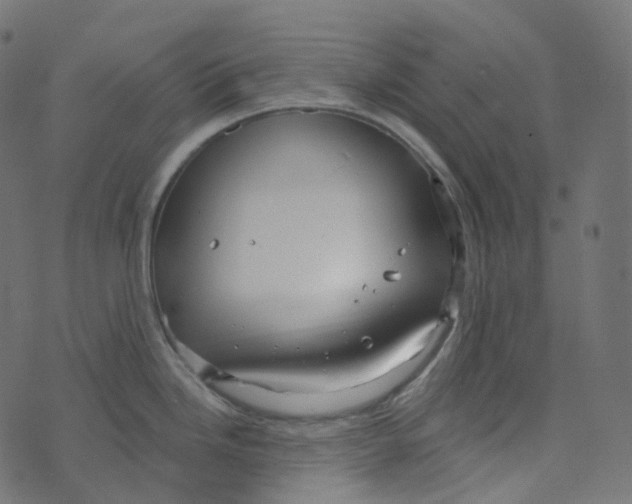 X0000073421246200608251542