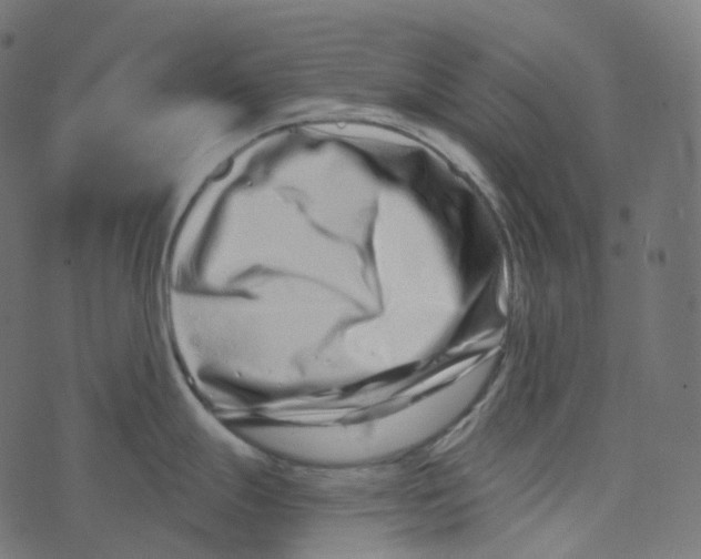 X0000073421247200608251542