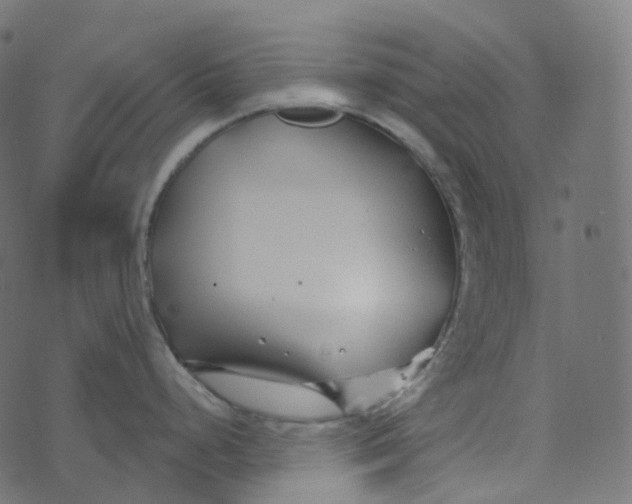 X0000073421248200608251542