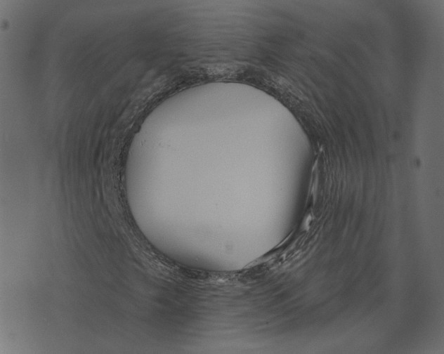 X0000073421249200608251541