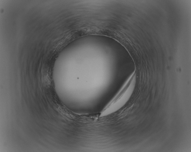 X0000073421250200608251541