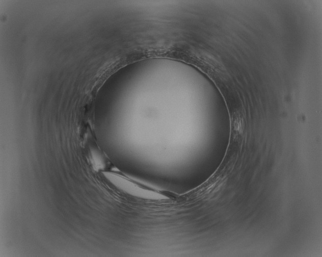 X0000073421252200608251541