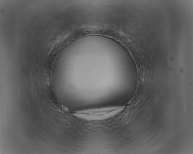 X0000073421253200608251541