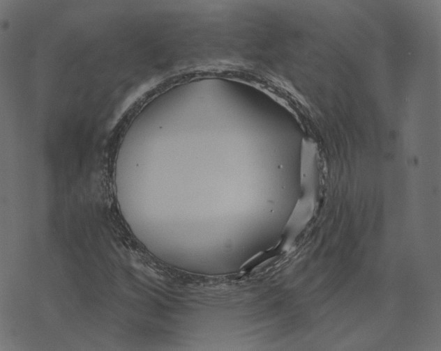 X0000073421256200608251541