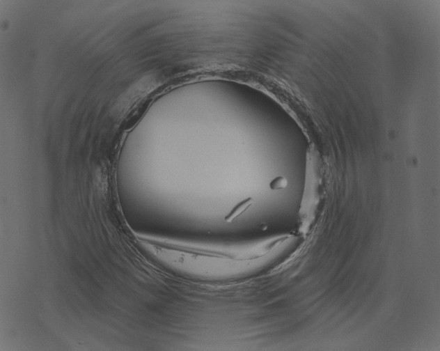 X0000073421257200608251541