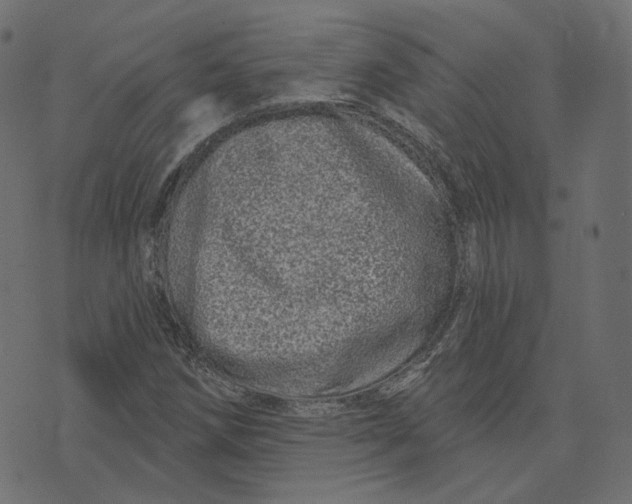 X0000073421258200608251541