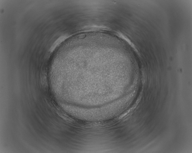 X0000073421259200608251541