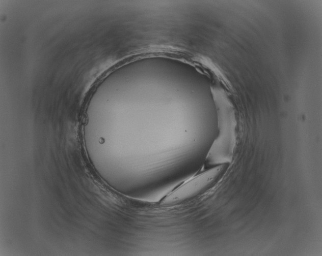 X0000073421260200608251541