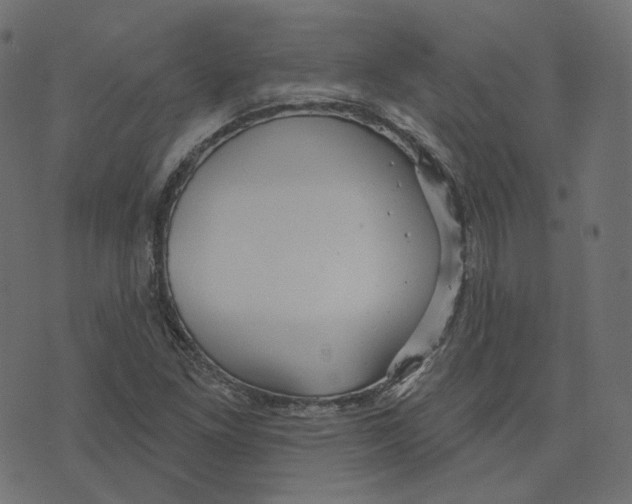 X0000073421261200608251541