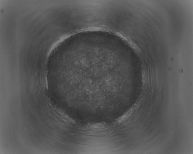 X0000073421262200608251541