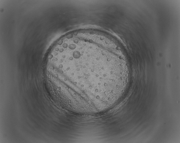 X0000073421263200608251541