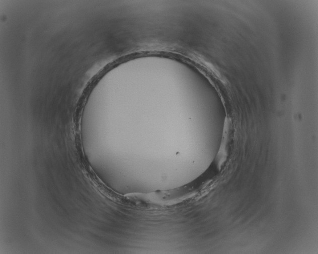 X0000073421264200608251541