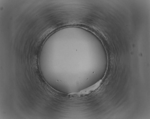 X0000073421265200608251541