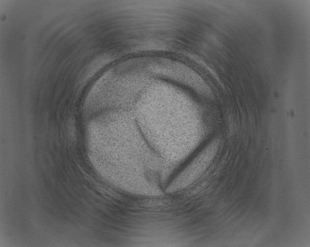 X0000073421266200608251541