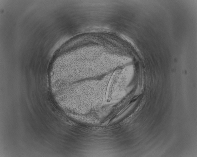 X0000073421267200608251541