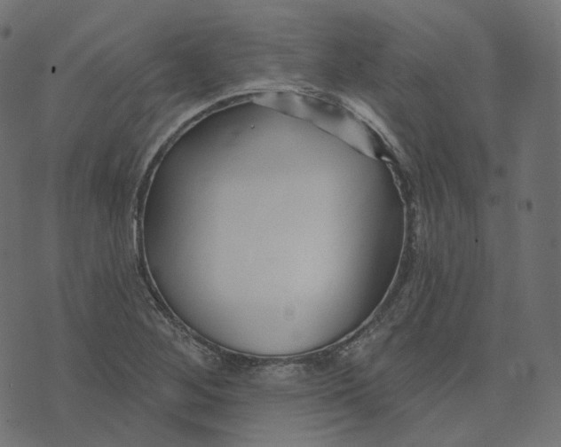 X0000073421268200608251541