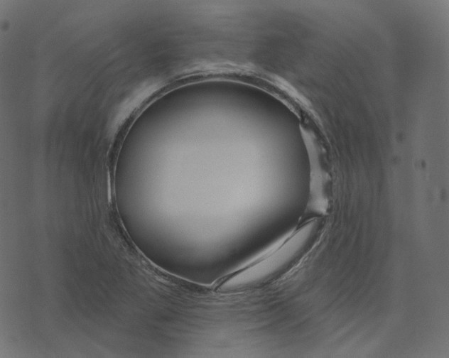 X0000073421269200608251541