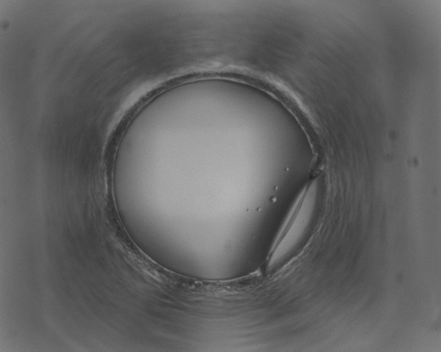 X0000073421270200608251541